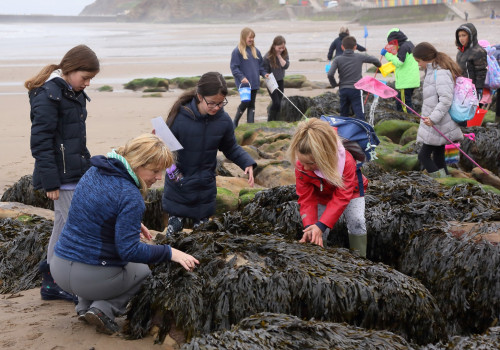 Westcliff Primary at the beach (35)