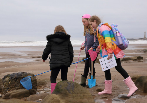 Westcliff Primary at the beach (1)