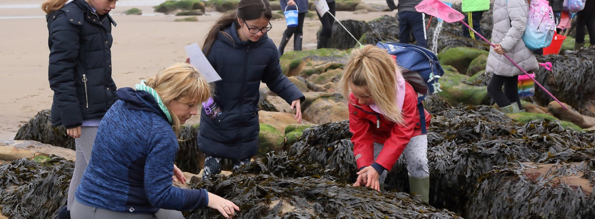 Westcliff Primary at the beach (35)